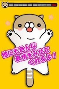 撫摸貓2 撫摸貓2