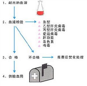 獻血後的血液處理