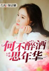 何不醉酒思華年 何不醉酒思華年