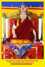 措卡阿白法王轉世靈童益西彭措法座照