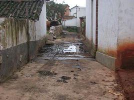 龍潭村委會[雲南省昆明尋甸縣金源鄉龍潭村委會]