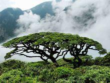 大瑤山（圖一）