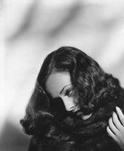 寶蓮&middot;高黛