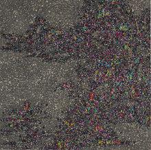 2016-2017  有基因的片段