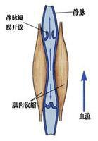 靜脈血壓 靜脈血壓