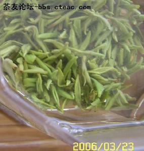蘭溪毛峰茶