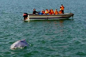 合浦儒艮自然保護區
