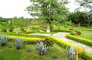 儋州藍洋海港溫泉度假村