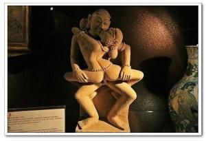 性博物館 性博物館