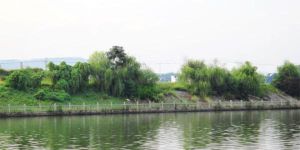 岑港河省級濕地公園 岑港河省級濕地公園