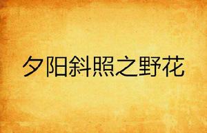 夕陽斜照之野花 夕陽斜照之野花