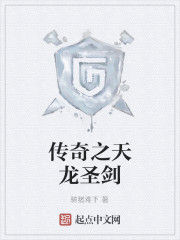 傳奇之天龍聖劍 傳奇之天龍聖劍