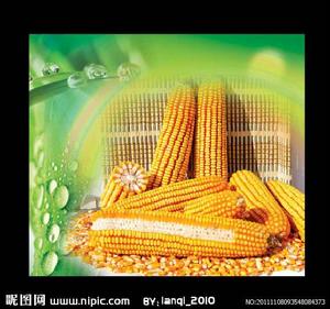 國糧眾單7 國糧眾單7