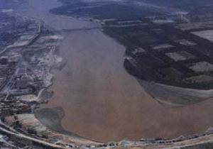 黃河口國家森林公園