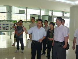 白洋灣街道 白洋灣街道