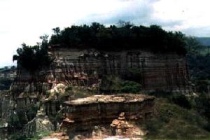 卡胡茲-別加國家公園