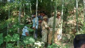 石城九月 石城九月