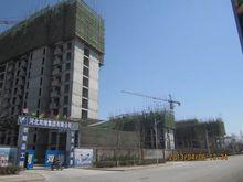 哈羅城東區施工現場主體