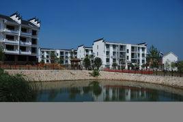 振興村[廣東省廣州市花都區獅嶺鎮下轄村]