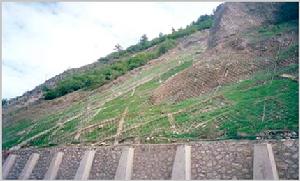 柔性防護網 柔性防護網