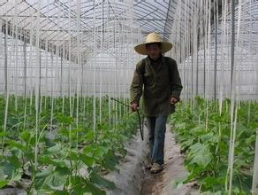 農業土壤學 農業土壤學