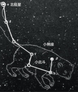 小熊星座 小熊星座