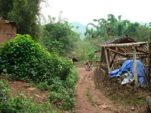 老八田自然村 老八田自然村