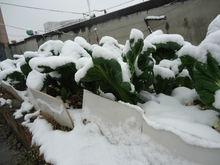 方岩[永康市旅遊景點]