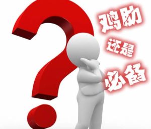 雞肋年貨 雞肋年貨