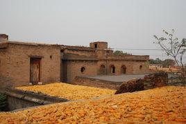 何家大院[河北邯鄲何家大院]