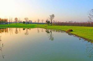 大馬溝生態公園 大馬溝生態公園