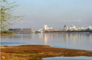 柳樹島風景區 柳樹島風景區