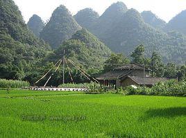 萬屯漢墓群 萬屯漢墓群