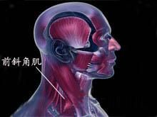 前斜角肌綜合徵 前斜角肌綜合徵