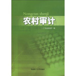 農村審計 農村審計