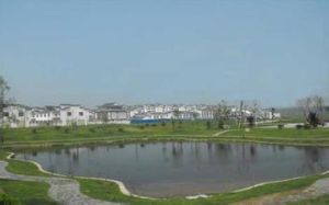 龍河鎮青色草原種畜場 龍河鎮青色草原種畜場