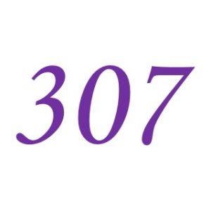 307 307