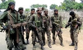 死客組織 死客組織