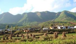 上陳基卡自然村 上陳基卡自然村