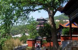 後寺村[兗州市後寺村]