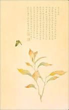 民國溥儒變葉木賦圖 民國溥儒變葉木賦圖