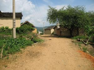 賴南自然村 賴南自然村