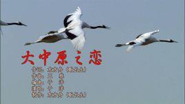 大中原之戀 大中原之戀