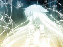 白兔子·艾麗絲