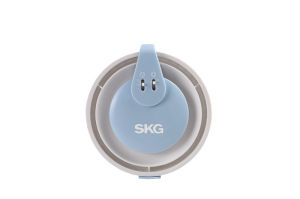 電風扇[張國榮歌曲]