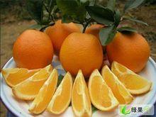 北亭村[江西省贛州市尋烏縣澄江鎮下轄村]