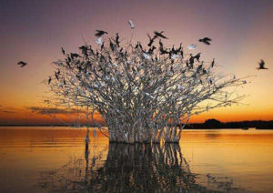 潘塔奈爾保護區 潘塔奈爾保護區