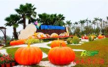 海口市[海南省省會]