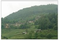 拱洞自然村 拱洞自然村