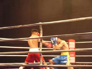 WSB世界職業拳擊聯賽 WSB世界職業拳擊聯賽